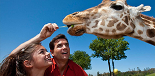 San Diego Safari Park