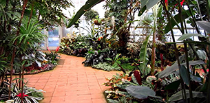 Sherman Library & Gardens